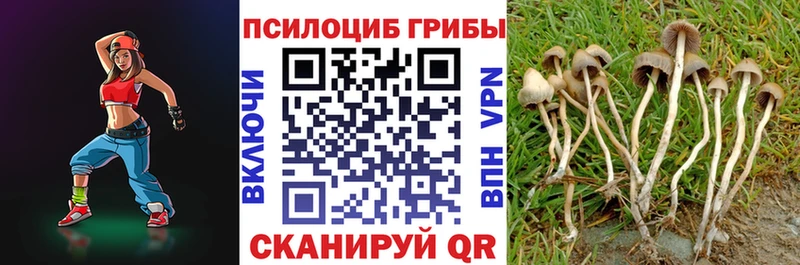 что такое наркотик Канск Псилоцибиновые грибы Cubensis